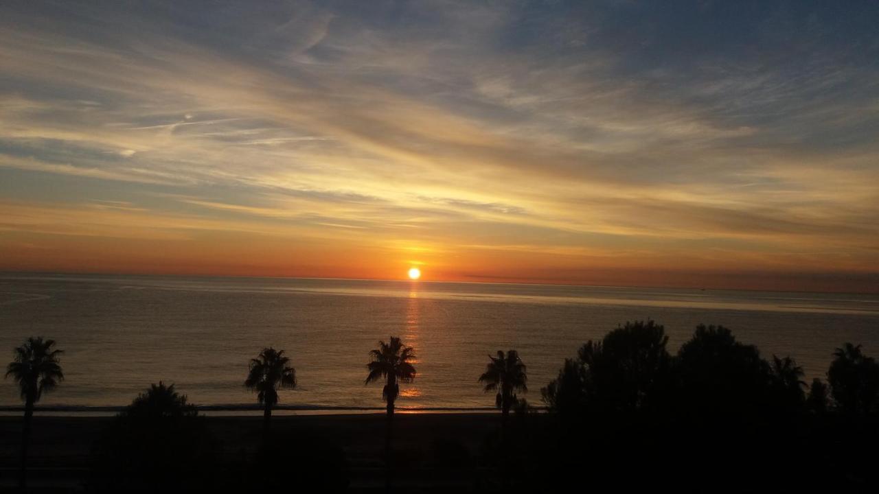 Sunrise Studio Miro, Vistas Jardin Y Mar Miami Playa Eksteriør billede